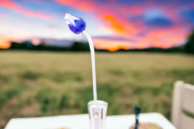 Loranto Tulp Blauw Wit - Glazen Tulpen - Bloemen - Tulpen van Glas - Roos van Glas - Glazen Bloemen