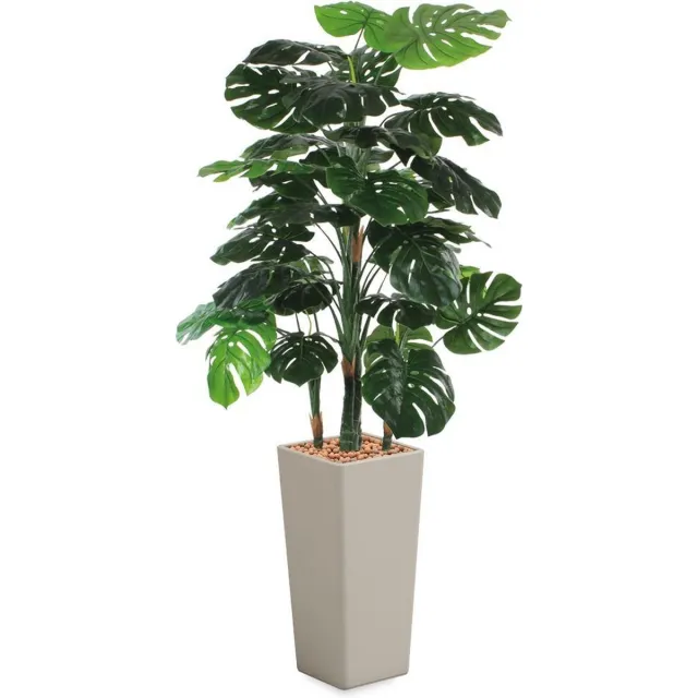 HTT Decorations HTT - Kunstplant Monstera in Clou vierkant taupe H195 cm Groen