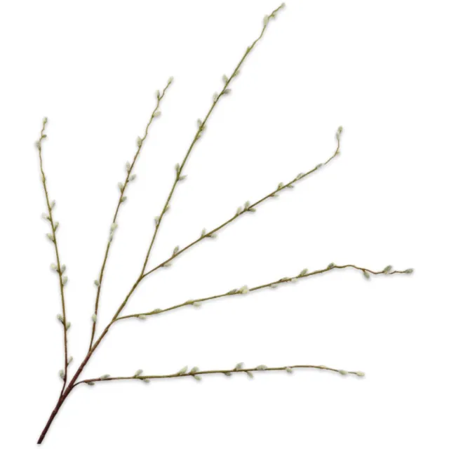 Silk-ka Kunstbloem - groen - H111 cm