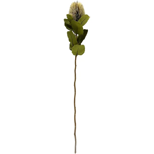 homebound by ky Kunsttak Banksia 59cm off-white Beige