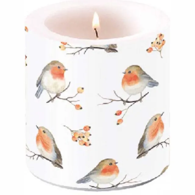 Ambiente Kaars Robin Family rood