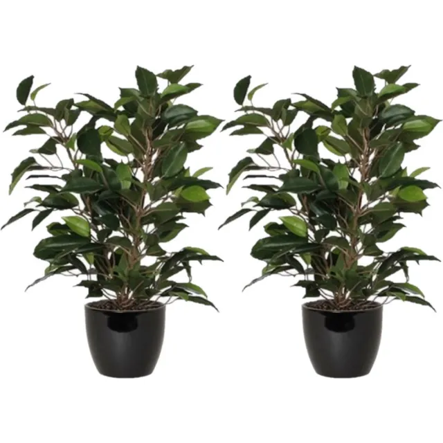 Mica Decorations 2x stuks groene ficus kunstplant 40 cm met plantenpot zwart D13.5 en H12.5 cm