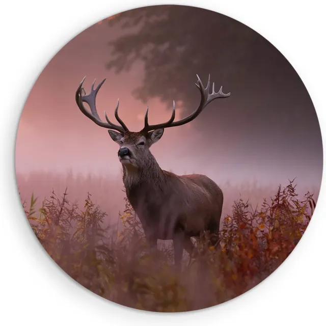 Saammp Forex Muurcirkel - hert met zonsopgang in de mist - Natuur - Dieren - Ø 80 - Wandcirkel - Wanddecoratie Cirkel - Muurdecoratie Woonkamer - Slaapkamer decoratie - Rond Schilderij