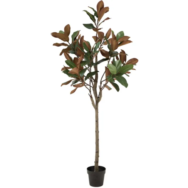 Light & Living Kunstplant MAGNOLIA - Groen - 60x60x180 cm