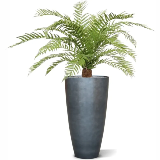 maxifleur Kunstplanten Alsophillia Varen kunstplant XXL 80cm - UV bestendig Groen