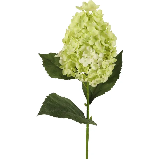 Viv! Home Luxuries Hortensia - Pluimhortensia - zijden bloem - groen - 71cm