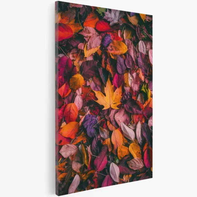Saammp Canvas Schilderij - Bloemen - Gekleurde Bladeren - 60x90 - Foto op canvas - Wanddecoratie - Muurdecoratie Woonkamer - Kantoor Decoratie Multicolor