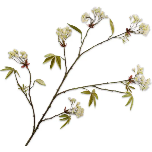Silk-ka Kunstbloem-Zijden Bloemen Esdoorn Tak Crème 110 cm