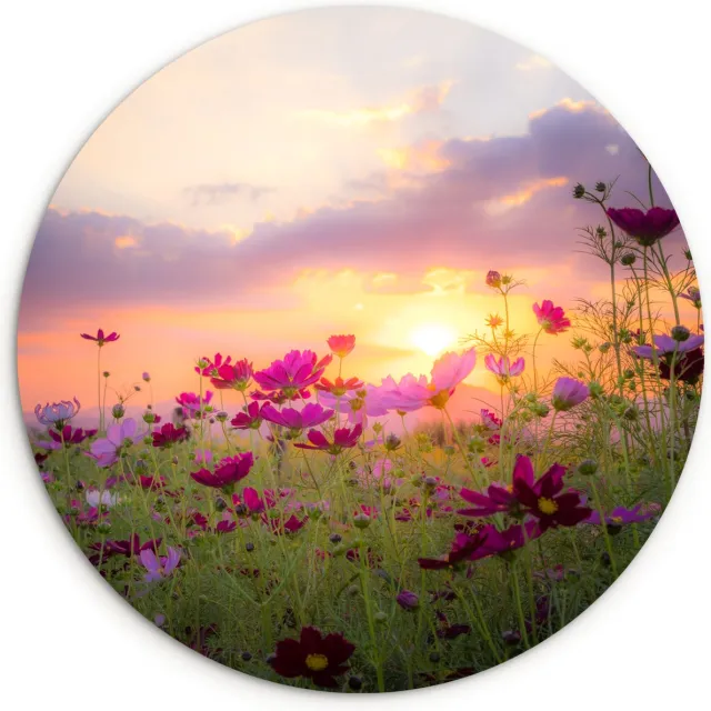 WallCircle Wandcirkel 60x60 - Bloemen - Roze - Zonsondergang - Natuur - Weide - Horizon - Ronde schilderijen woonkamer - Wandbord rond - Muurdecoratie cirkel - Kamer decoratie binnen - Wanddecoratie muurcirkel - Woonaccessoires