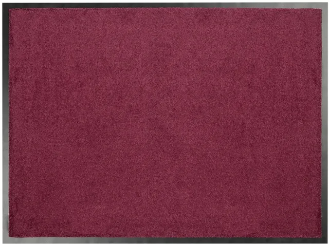 Floordirekt Deurmat Performa - Hoog Absorptievermogen - Voor Binnen en Buiten - Violet - 60 x 90 cm