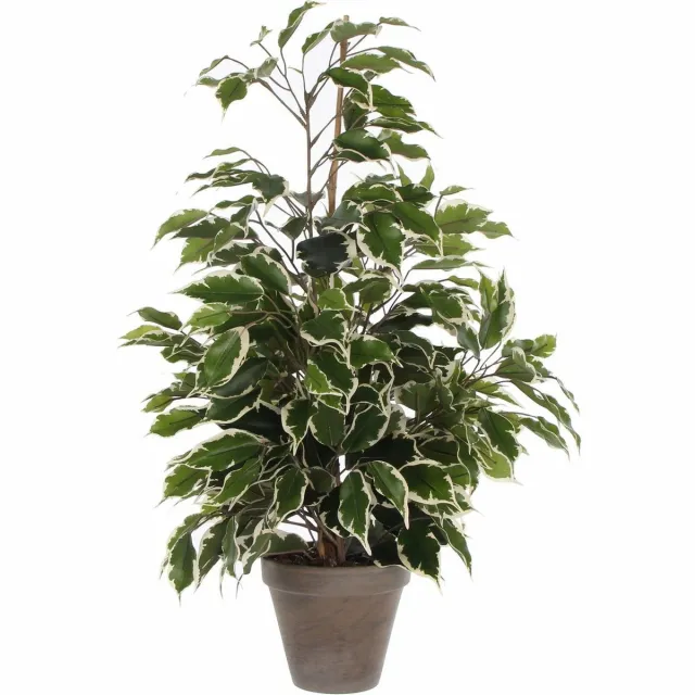 Mica Decorations Kunstplant Ficus - groen/wit - 65 cm - binnen - kunstplanten/nepplanten/binnenplanten