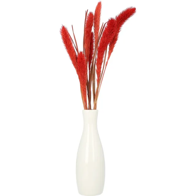 QUVIO Vaas - Vaasje - Bloemenvaas - Vaasjes - Vazen - Voor echte bloemen - Voor droogbloemen - Woondecoratie - Voor binnen - Keramiek - Wit - 5 x 5 x 16 cm