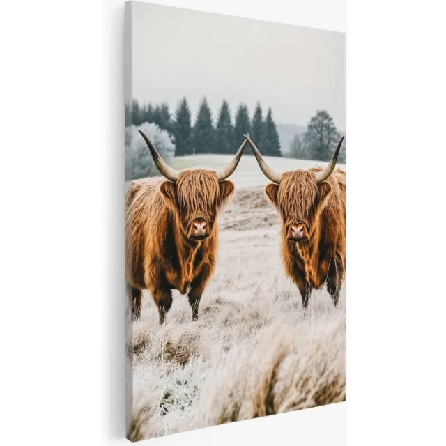 Saammp Canvas Schilderij - Schotse Hooglanders in bevroren gras - Natuur - Dieren - 40x50 - Foto op canvas - Wanddecoratie - Muurdecoratie Woonkamer - Slaapkamer decoratie - Canvas Print Multicolor