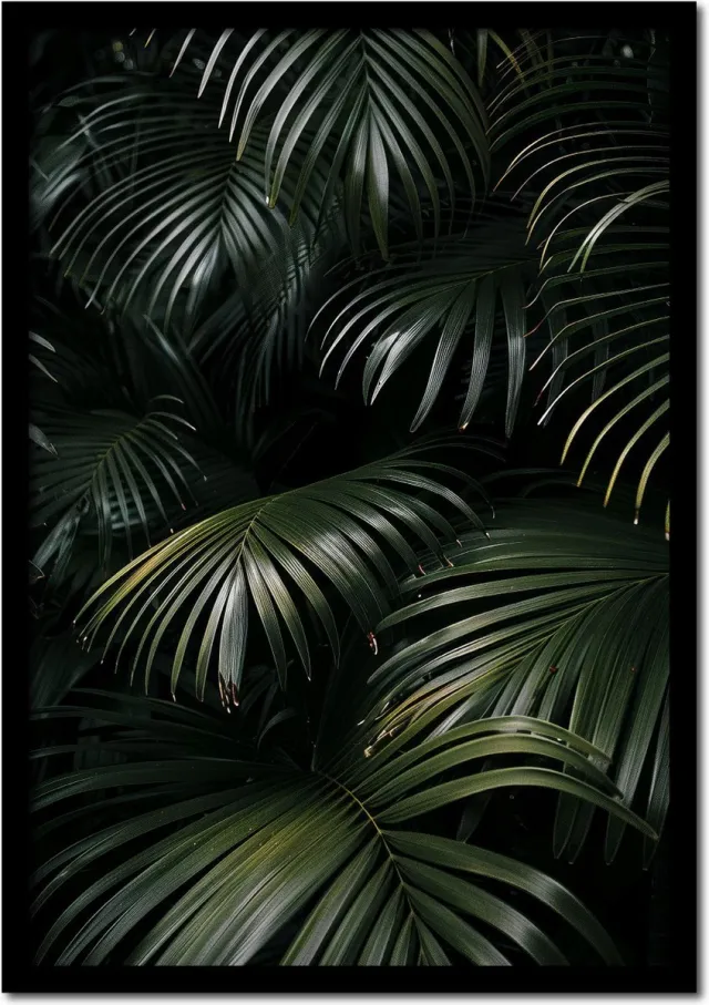 Plakkers Poster jungle bladeren dichtbebost - 50cm x 70cm - vintage - woonkamer - slaapkamer - bloemen posters - goedkoop - muurposter - natuur - wanddecoratie Full-colour