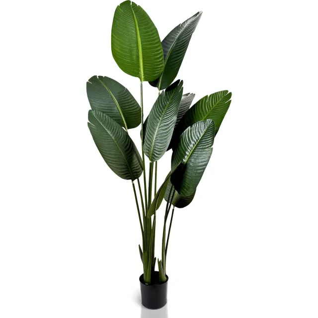 IvoQ Strelitzia Kunstplant 160 cm - Grote Paradijsvogelplant in Pot - Levensecht & Onderhoudsvrij - Voor Binnen Groen