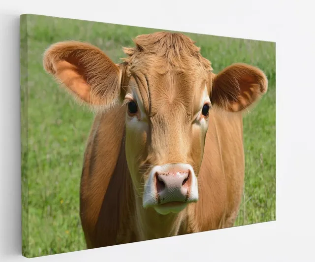 Saammp Canvas Schilderij - Koe portret - Dieren - nederland - 60x40 - Foto op canvas - Wanddecoratie - Muurdecoratie Woonkamer - Slaapkamer decoratie - Canvas Print Multicolor