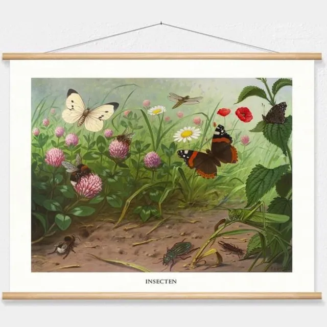 wallchart unlimited Schoolplaat 'Insecten' van M.A. Koekkoek wit