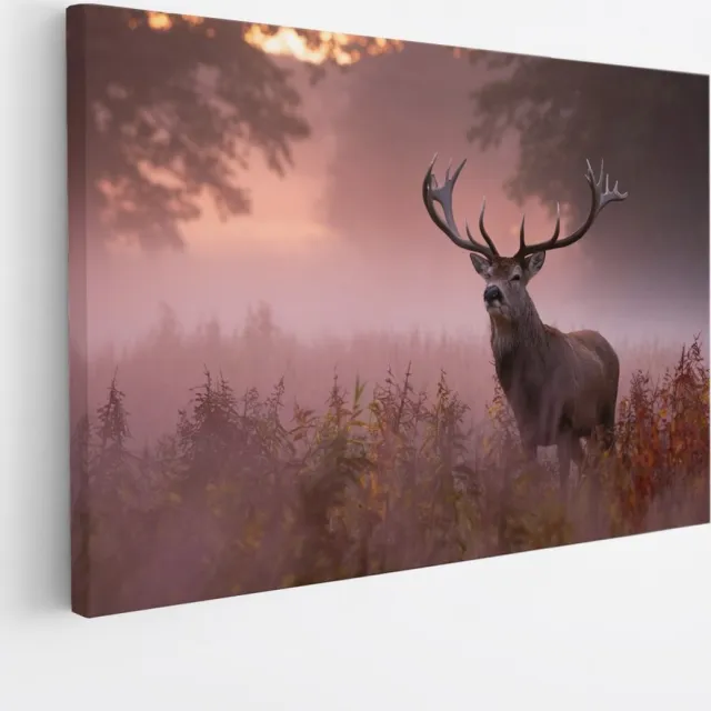 Saammp Canvas Schilderij - hert met zonsopgang in de mist - Natuur - Dieren - 100x75 - Foto op canvas - Wanddecoratie - Muurdecoratie Woonkamer - Slaapkamer decoratie - Canvas Print Multicolor
