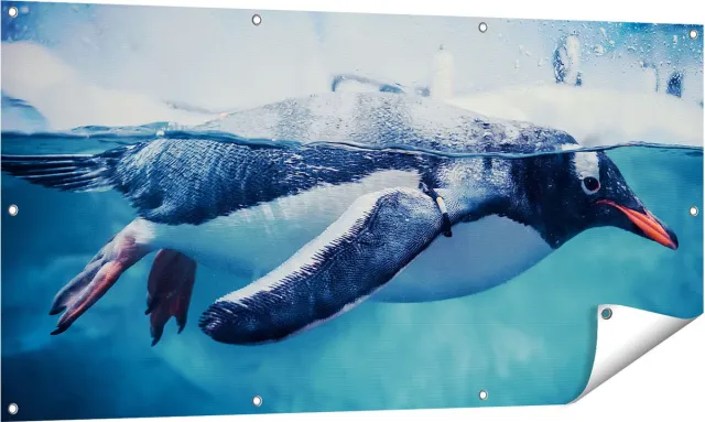 Gards Tuinposter Pingu�n Zwemt in het Water - 140x70 cm - Tuindoek - Tuindecoratie - Wanddecoratie buiten - Tuinschilderij Multikleur