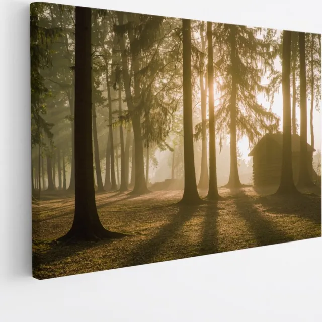 Saammp Canvas Schilderij - Huis - Grote Bomen - Landschap - Natuur - 40x30 - Foto op canvas - Wanddecoratie - Muurdecoratie Woonkamer - Slaapkamer decoratie - Canvas Print Multicolor
