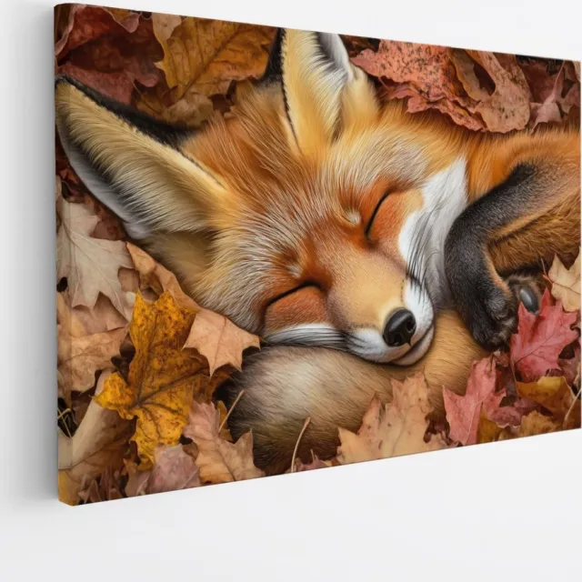 Saammp Canvas Schilderij - Slapende Vos - Schattig - Natuur - Dieren - 50x40 - Foto op canvas - Wanddecoratie - Muurdecoratie Woonkamer - Slaapkamer decoratie - Canvas Print Multicolor