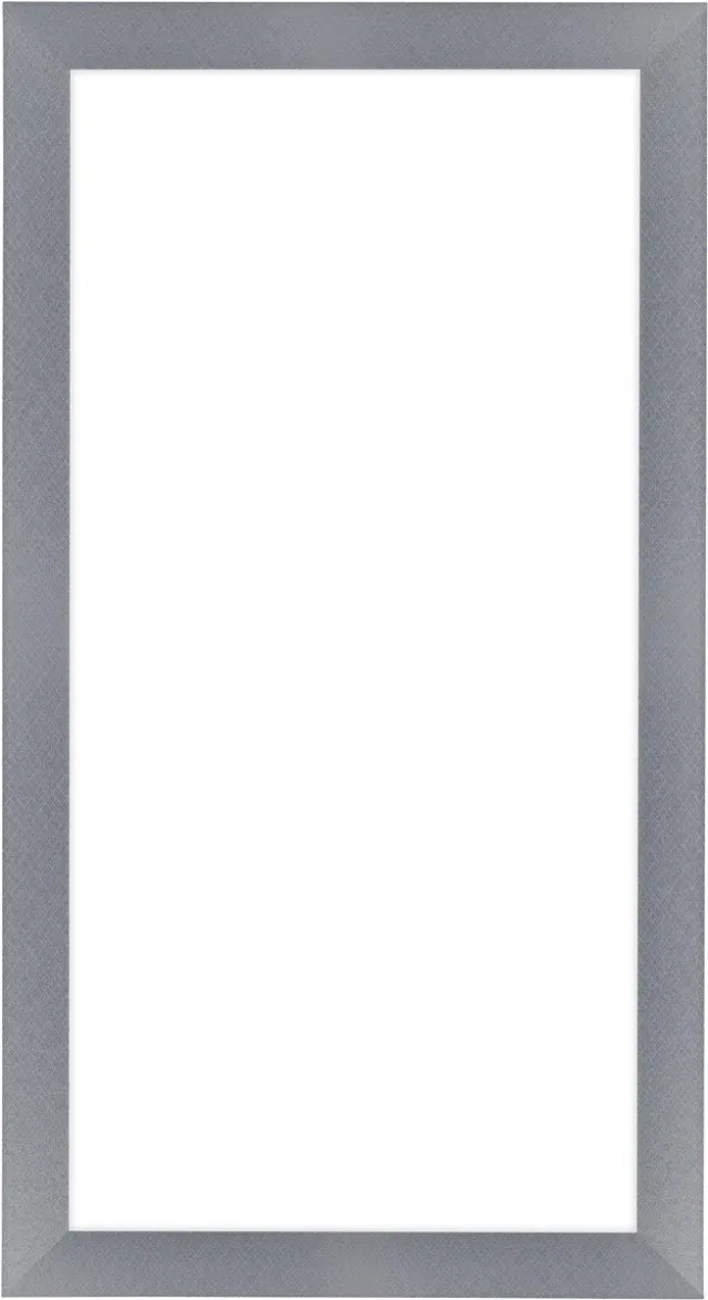 Dutch Frame Factory Fotolijst 50x100 cm - MDF - Aluminium Geborsteld - Colonia