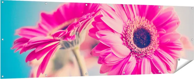 Gards Tuinposter Twee Roze Anjers - Bloemen - 210x70 cm - Tuindoek - Tuindecoratie - Wanddecoratie buiten - Tuinschilderij Multikleur