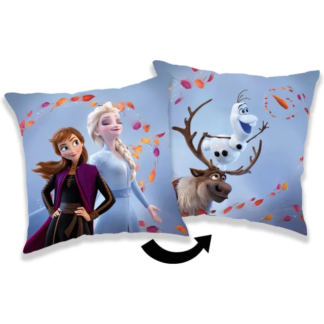 Disney Frozen Sierkussen Wind - 40 x 40 cm - Polyester Multi