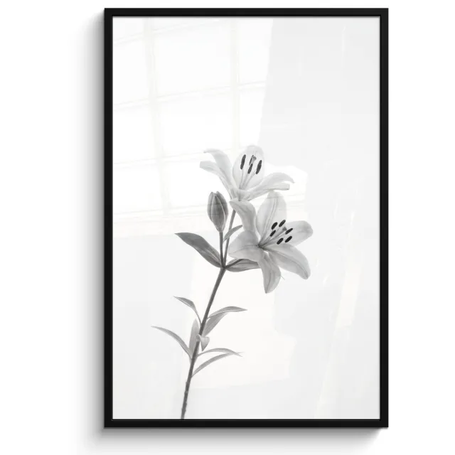 FrameYourWall Poster in lijst - Fotolijst 80x120 cm - Posters - Lelies - Elegant - Zwart - Wit - Posterlijst zwart - Decoratie - Wanddecoratie woonkamer - Muurdecoratie slaapkamer