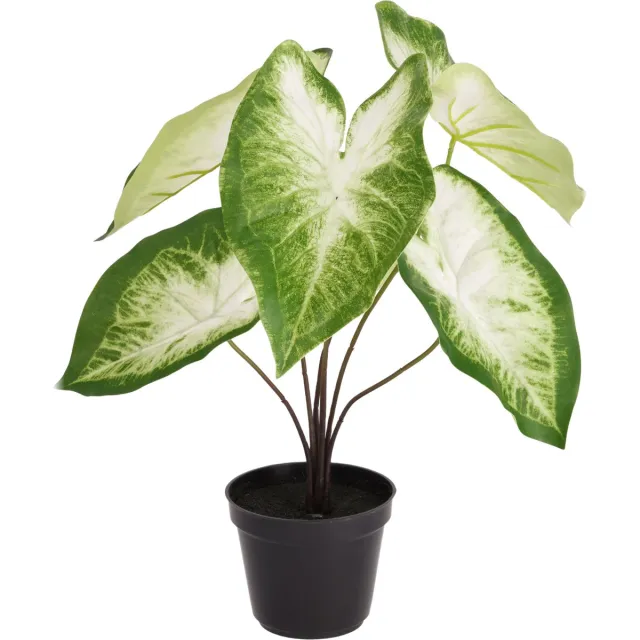 maxifleur Kunstplanten Caladium Aron kunstplant 45cm in kweekpot Groen