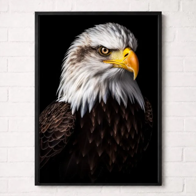Kleurmedia Amerikaanse Zeearend Poster - Vogelportretten Collectie - Dieren Posters - A1+ 61 x 91,5 cm Wit