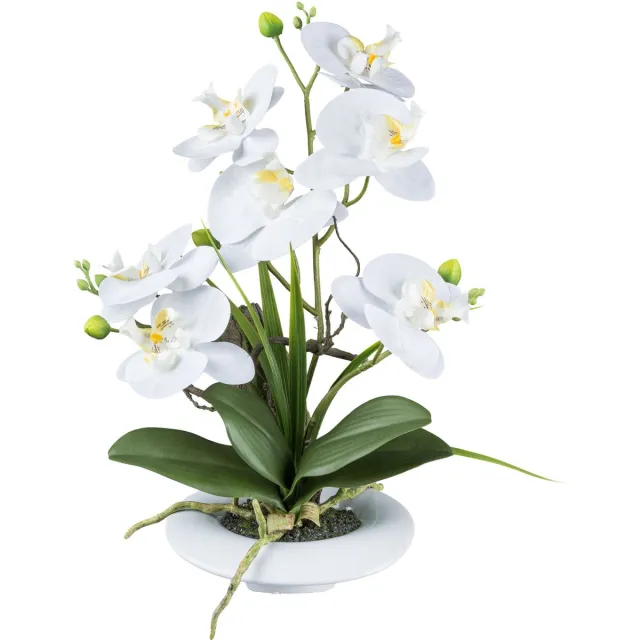 Kopu Kunstbloem Orchidee 41 cm Wit met Bloemschaal - Phalaenopsis paars