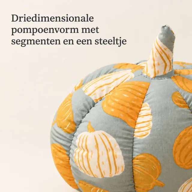 SWGOTA Grijs pompoenvormig sierkussen 30 x 30 cm met pompoenprint en buitenstof van katoen en linnen voor de bank
