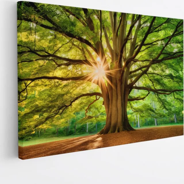 Saammp Canvas Schilderij - Grote Boom met tijdens goldenhour - Natuur - Landschap - 40x30 - Foto op canvas - Wanddecoratie - Muurdecoratie Woonkamer - Slaapkamer decoratie - Canvas Print Multicolor