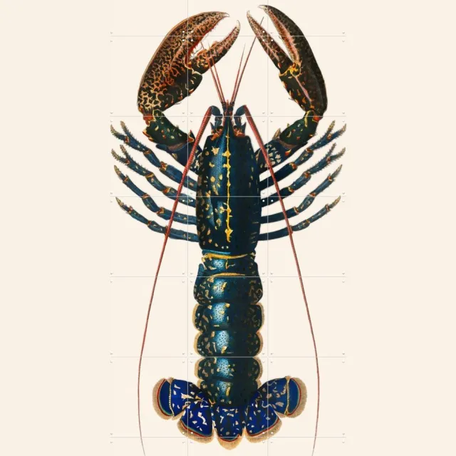 IXXI Homard, Aster Edition - 100 x 140 cm - Grote wanddecoratie en posters Strandhuis, Woonkamer, Zeevruchten, Zeeleven, Dieren Beige