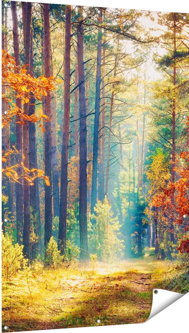 Gards Tuinposter Herfstbos met Zonneschijn - Kleur - 100x150 cm - Tuindoek - Tuindecoratie - Wanddecoratie buiten - Tuinschilderij Multikleur