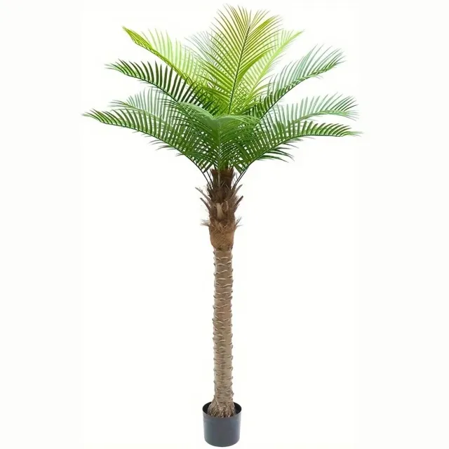 NordHaus Kunstmatige Kokospalm - Tropische Kunstplant - Decoratieve Palmboom - Onderhoudsvrij Design - 160 cm met Zwarte Plantenbak Groen