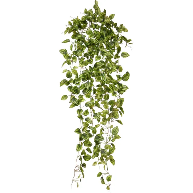maxifleur Kunstplanten Peperomia Kunsthangplant bont 90cm Groen