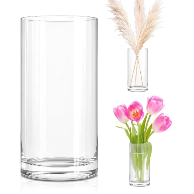 Unyqoos Stijlvolle en veelzijdige glazen vaas cilinder voor moderne decoratie, 20cm, Glas Transparant