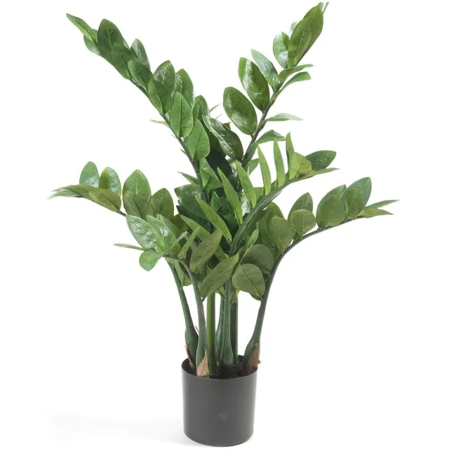 Emerald Kunstplant Zamioculcas 70cm - Kunstplant voor binnen Groen