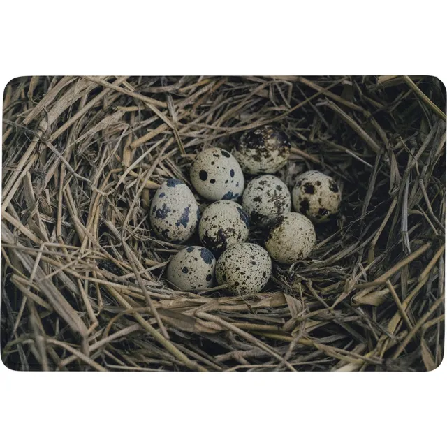 Mars & More deurmat eieren in nest 75x50cm Multi