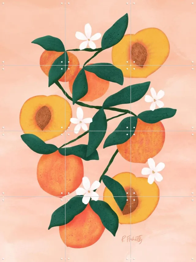 IXXI Summer Peaches Pink, Rebecca Flaherty - 60 x 80 cm - Grote wanddecoratie en posters - Illustraties, Kleurrijk, Speels, Woonkamer, Keuken Oranje