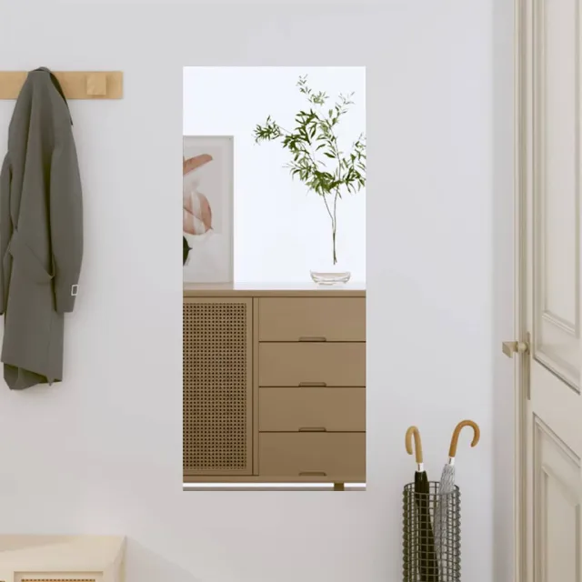 vidaXL Wandspiegel 40x80 cm rechthoekig glas Zilver
