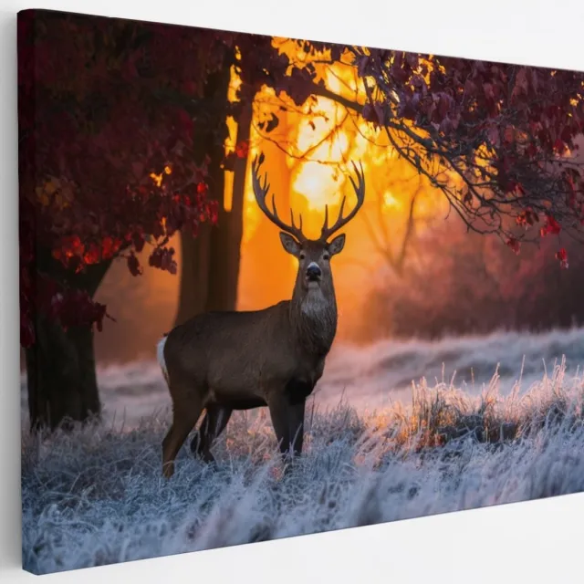 Saammp Canvas Schilderij - Hert in de zon - Natuur - Dieren - 30x20 - Foto op canvas - Wanddecoratie - Muurdecoratie Woonkamer - Slaapkamer decoratie - Canvas Print Multicolor