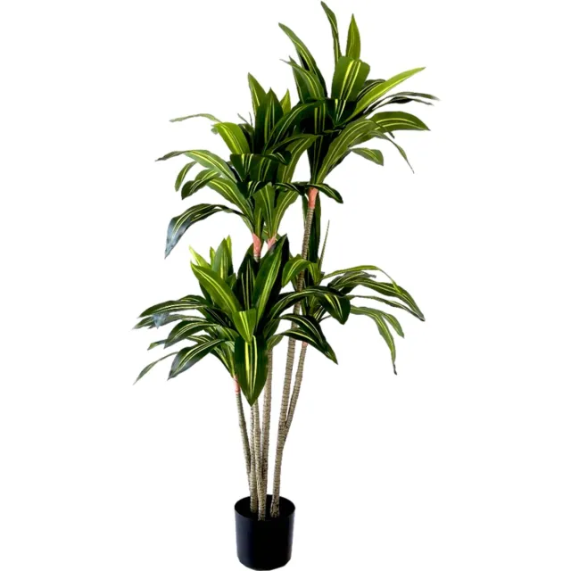 NeverLeafs Kunstplant Dracaena Fragnans - 150cm groen
