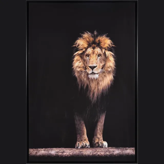 Noach Canvas Schilderij Leeuw Zwart