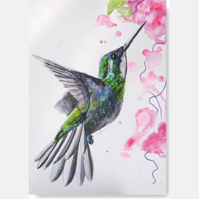 Natuurlijk Angelart Kunst Poster - Vogels - Kolibrie - A4 Formaat - Kunst aan de muur Roze