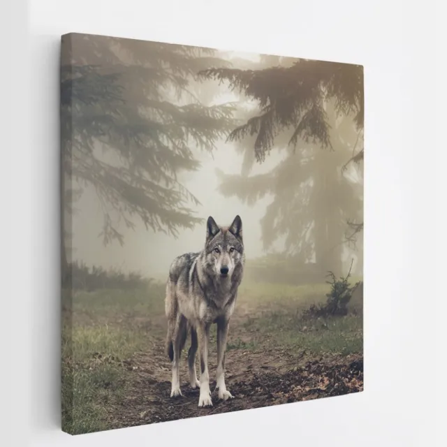Saammp Canvas Schilderij - Wolf in een bos met mist - Dieren - Natuur - 20x20 - Foto op canvas - Wanddecoratie - muurdecoratie Woonkamer - Slaapkamer decoratie - Canvas Print Multicolor
