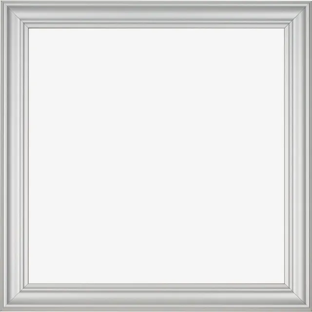Dutch Frame Factory Fotolijst 75x98 cm - MDF - Zilver Mat - Limburg