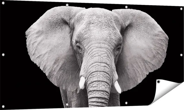 Gards Tuinposter Olifant - Zwart Wit - 140x70 cm - Tuindoek - Tuindecoratie - Wanddecoratie buiten - Tuinschilderij Multikleur